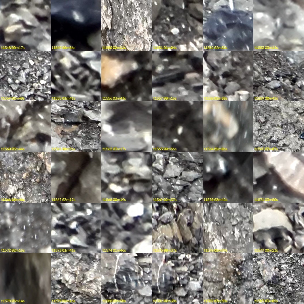 montage_43.jpg