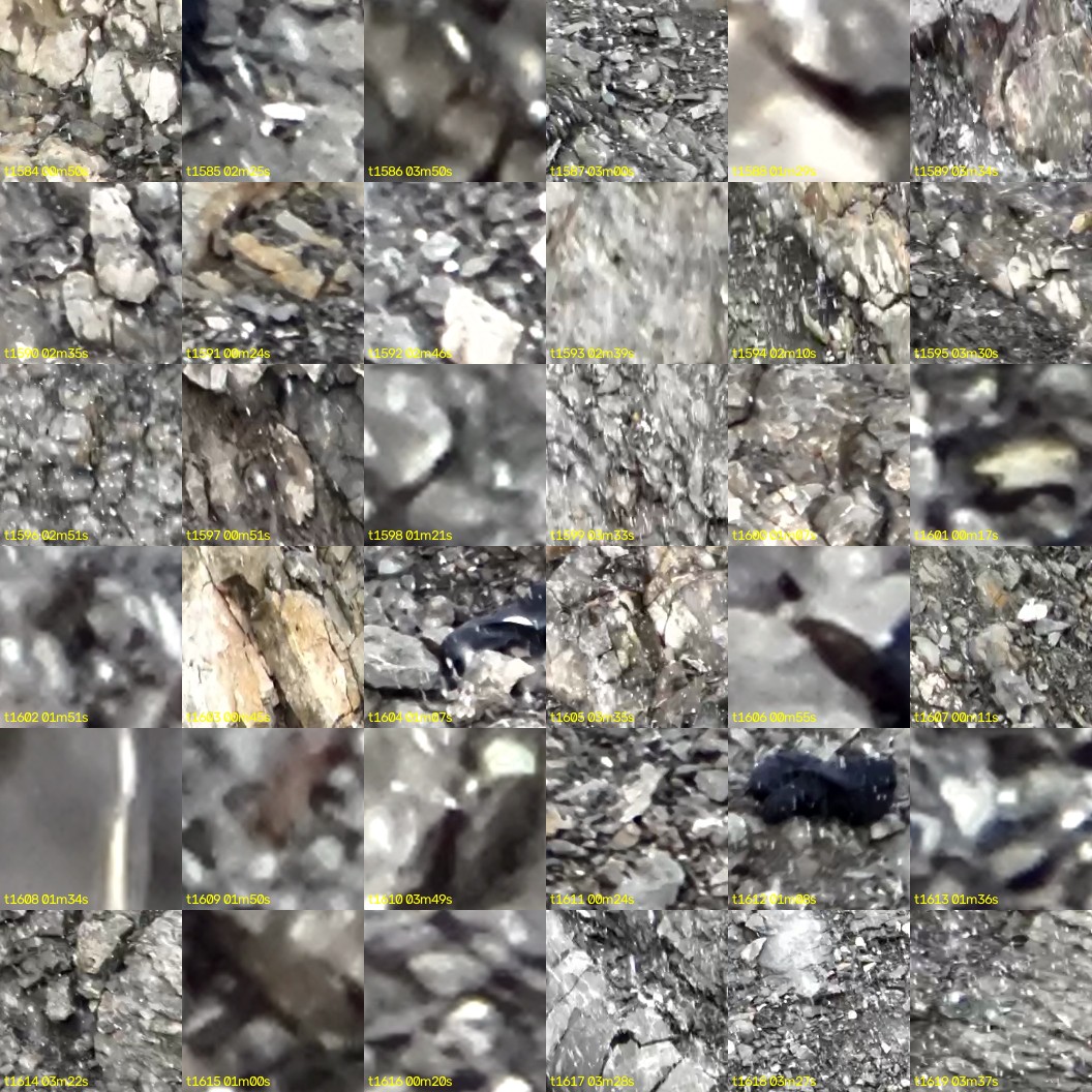 montage_44.jpg