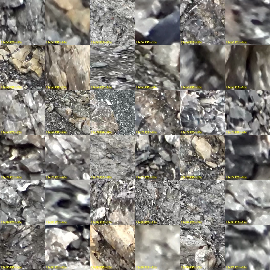 montage_46.jpg