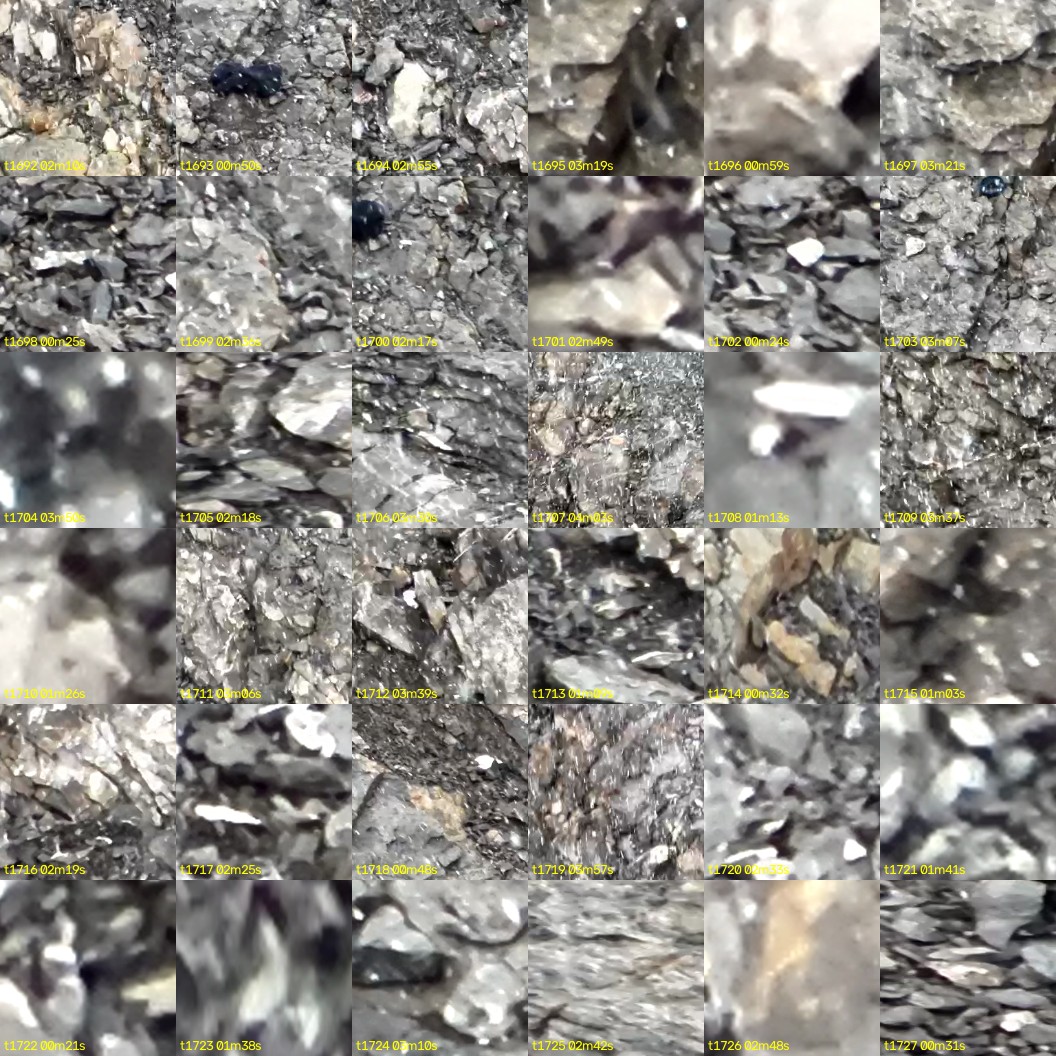 montage_47.jpg