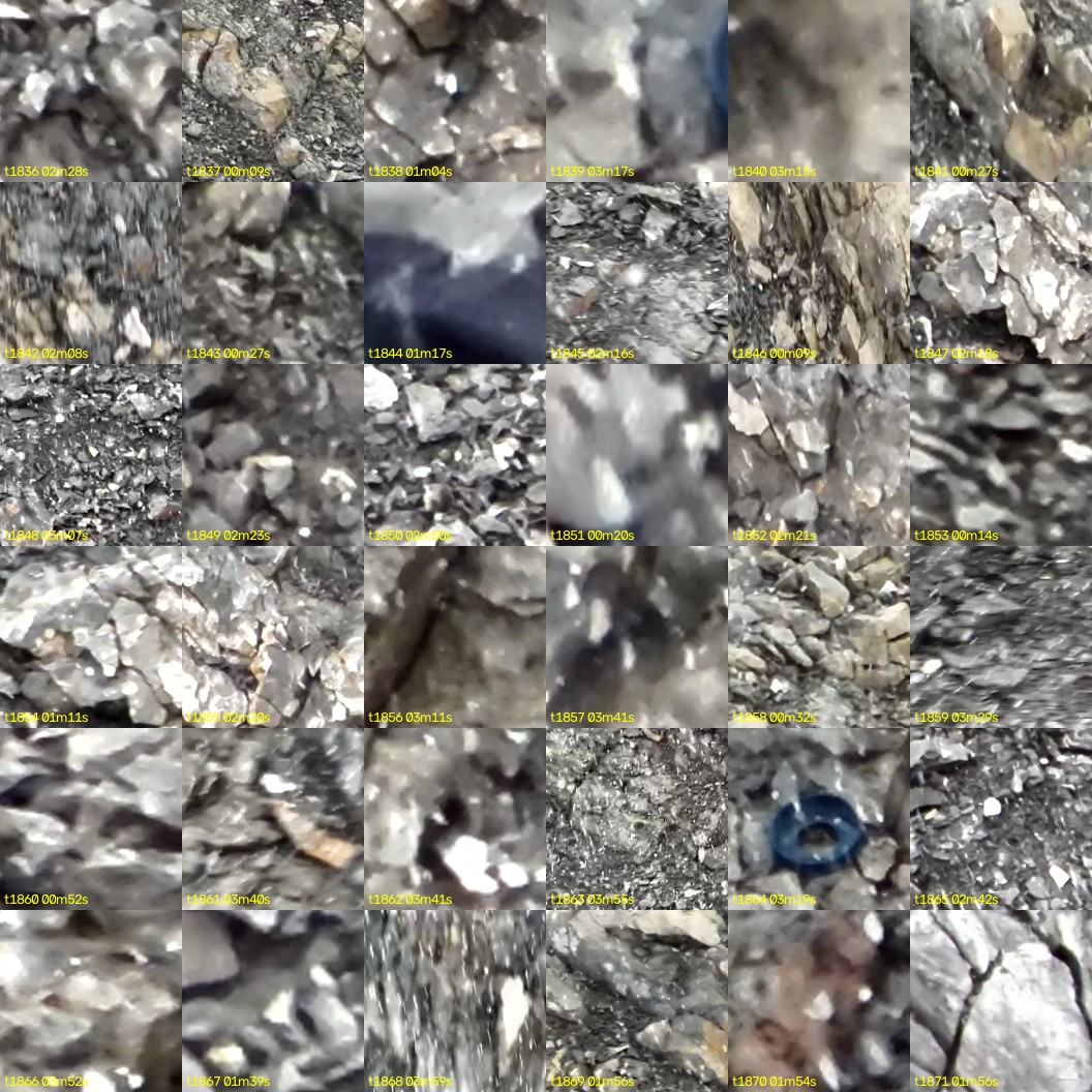 montage_51.jpg
