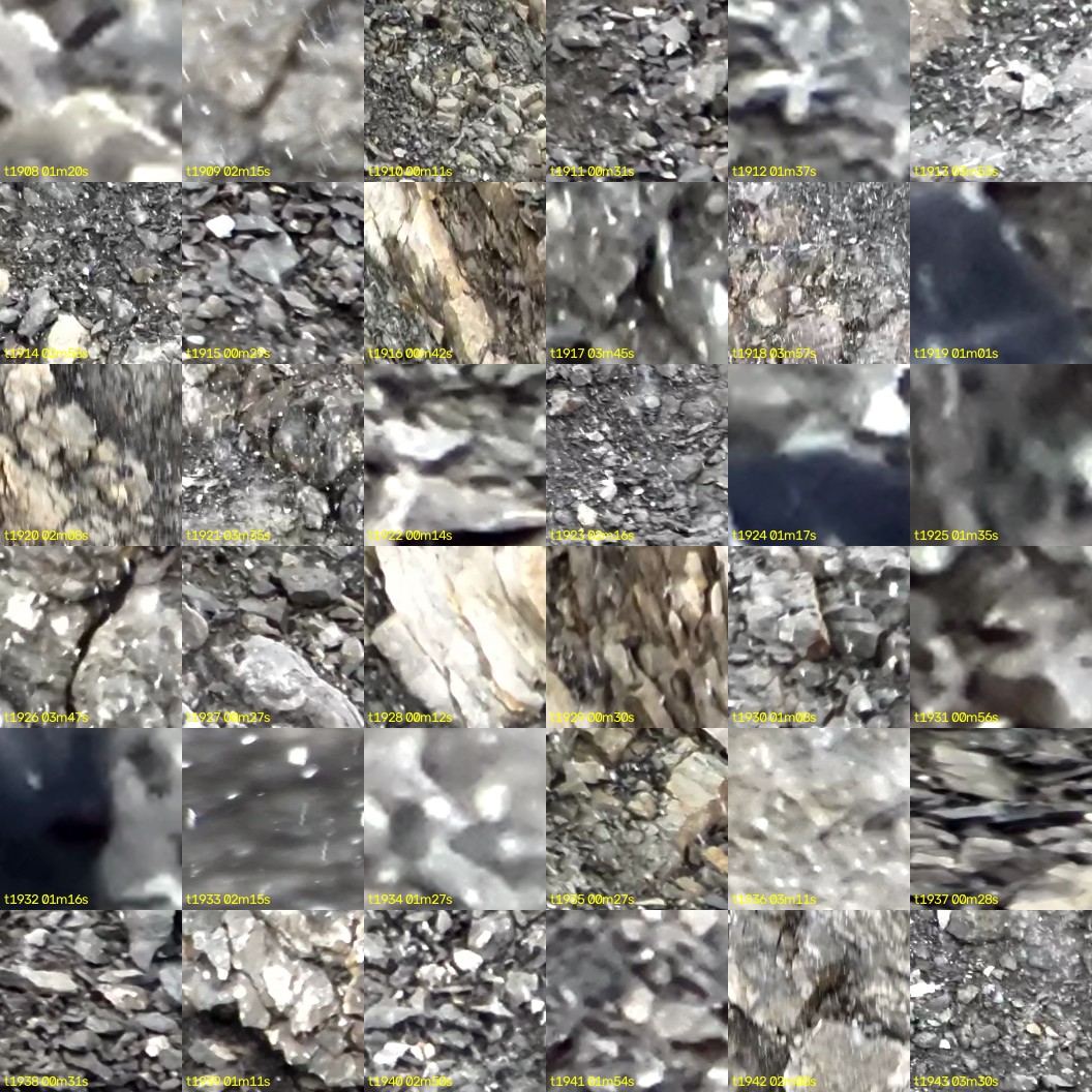 montage_53.jpg