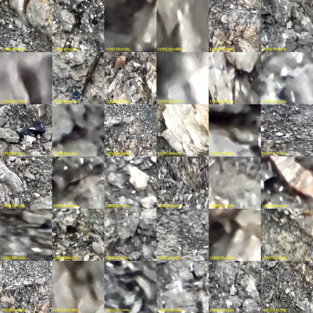 montage_55.jpg