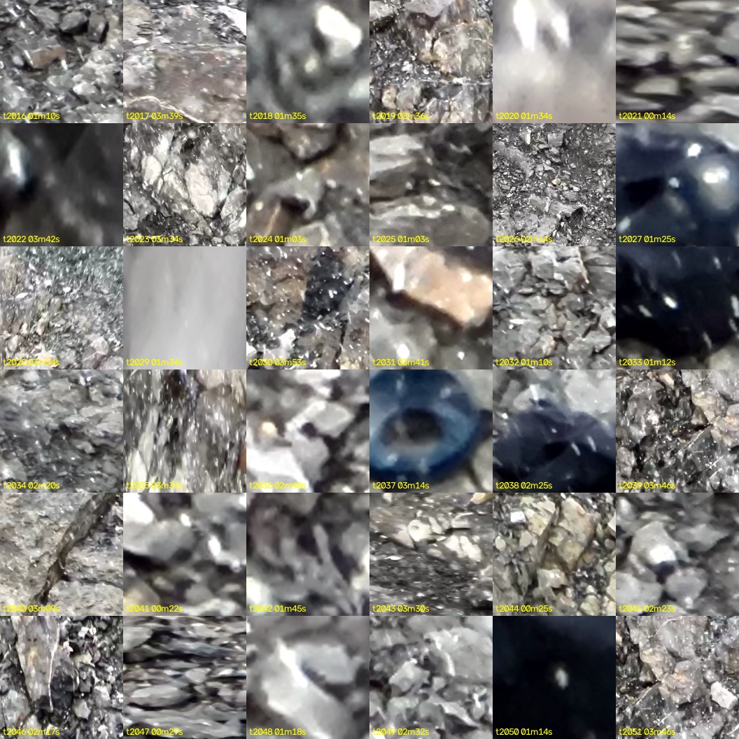 montage_56.jpg
