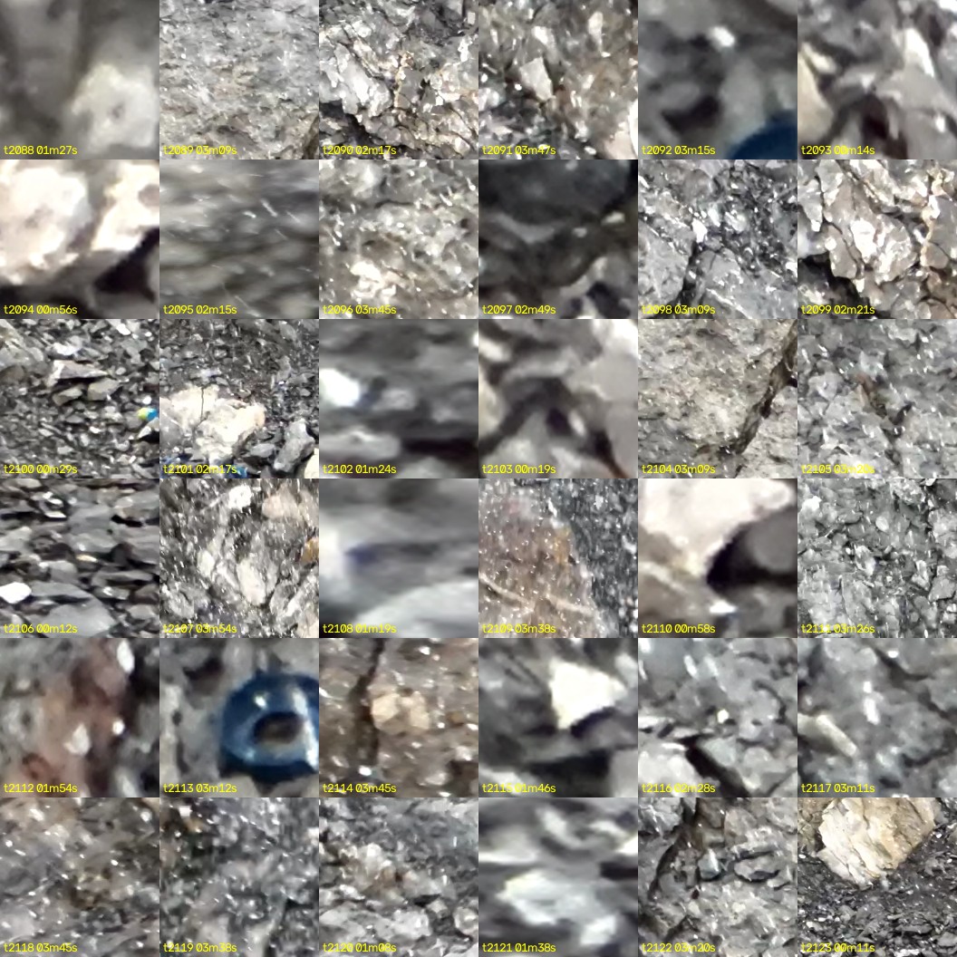 montage_58.jpg