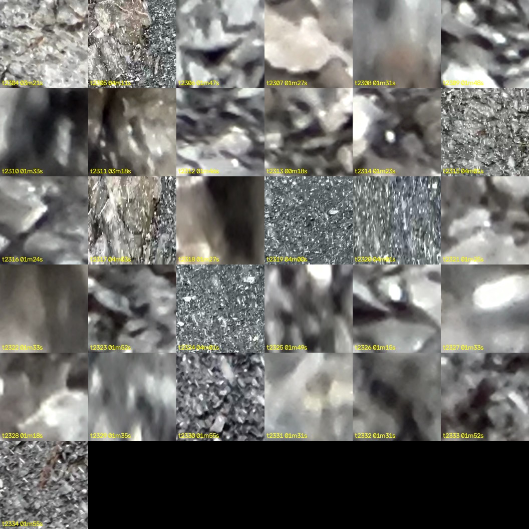 montage_64.jpg