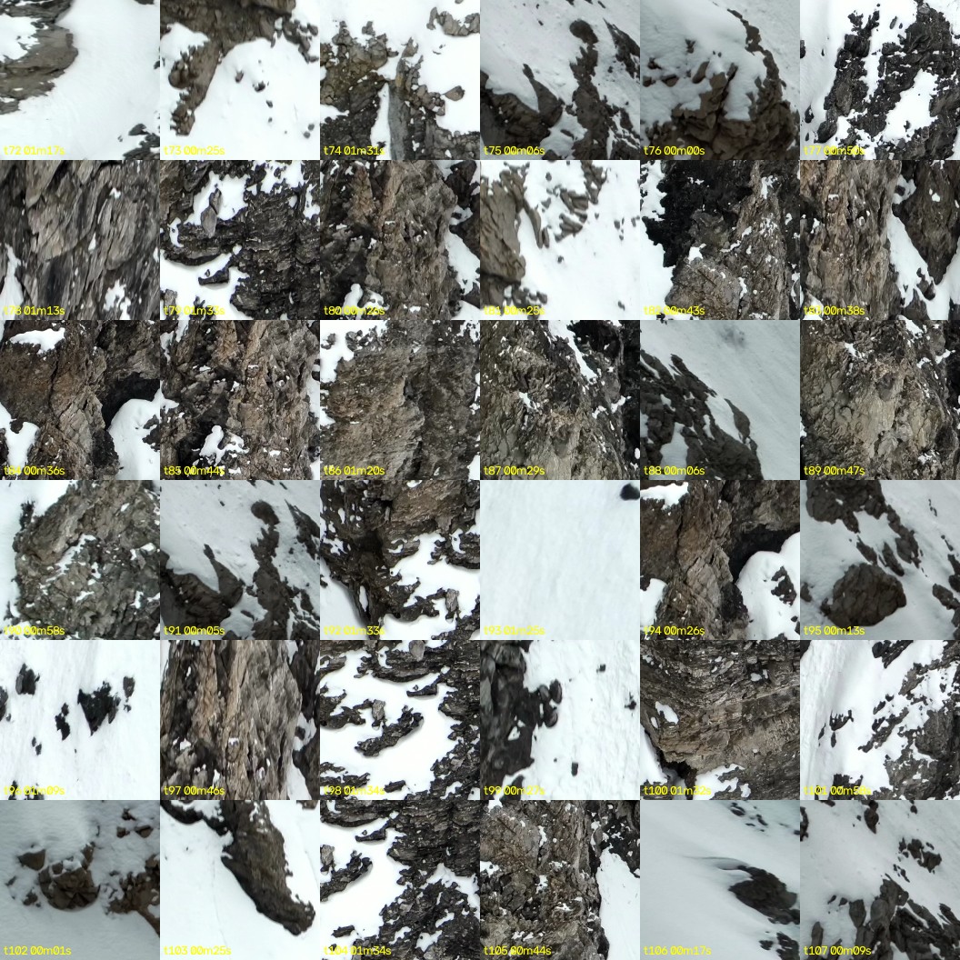 montage_02.jpg