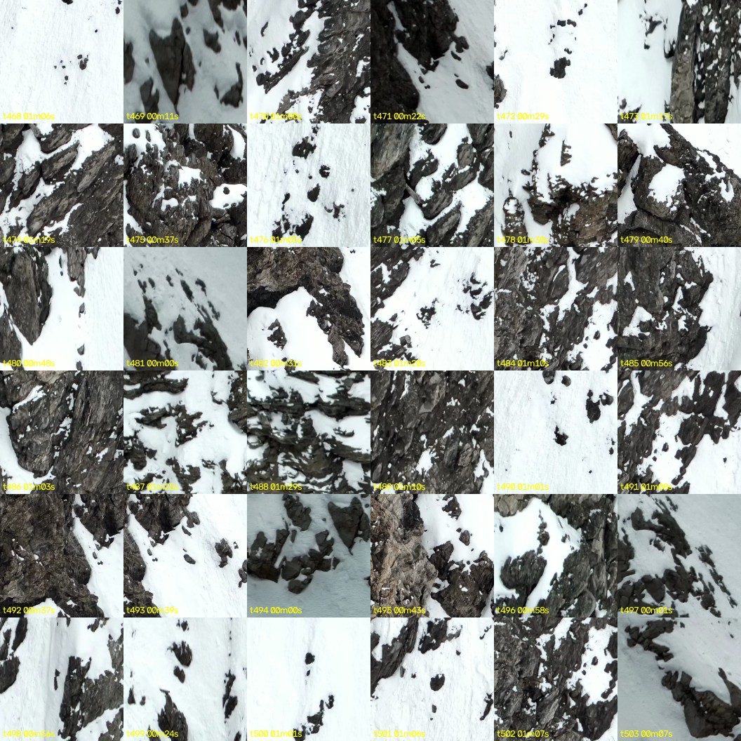 montage_13.jpg