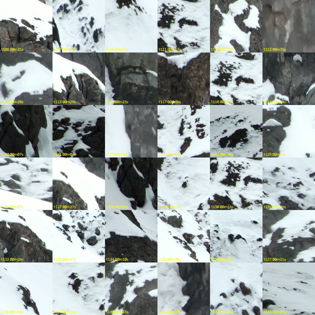 montage_03.jpg