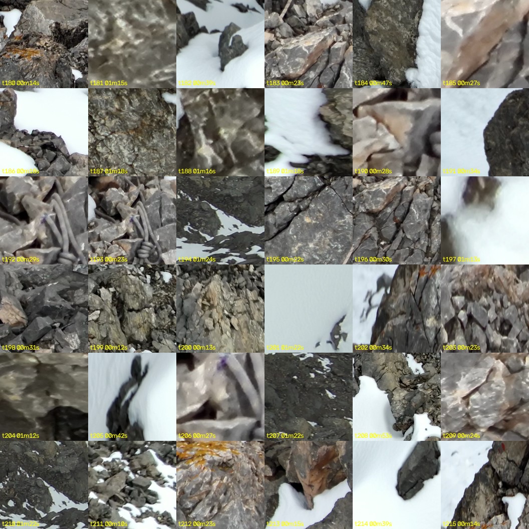 montage_05.jpg