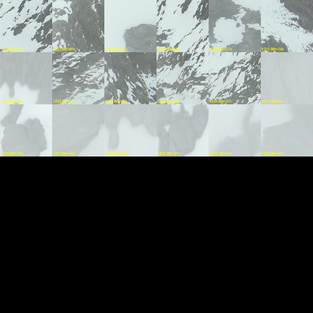 montage_06.jpg