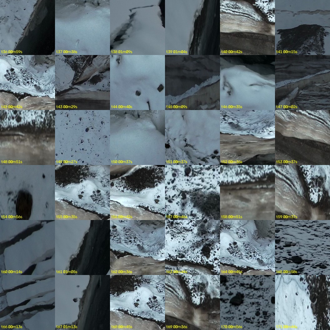 montage_01.jpg
