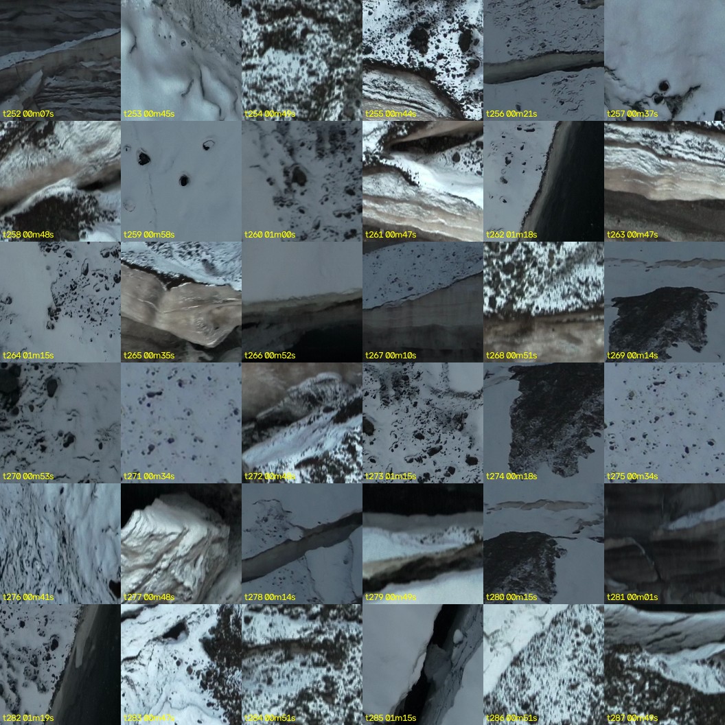 montage_07.jpg