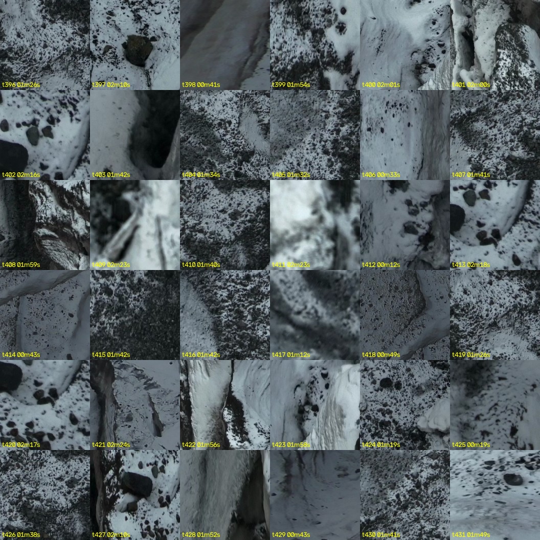 montage_11.jpg