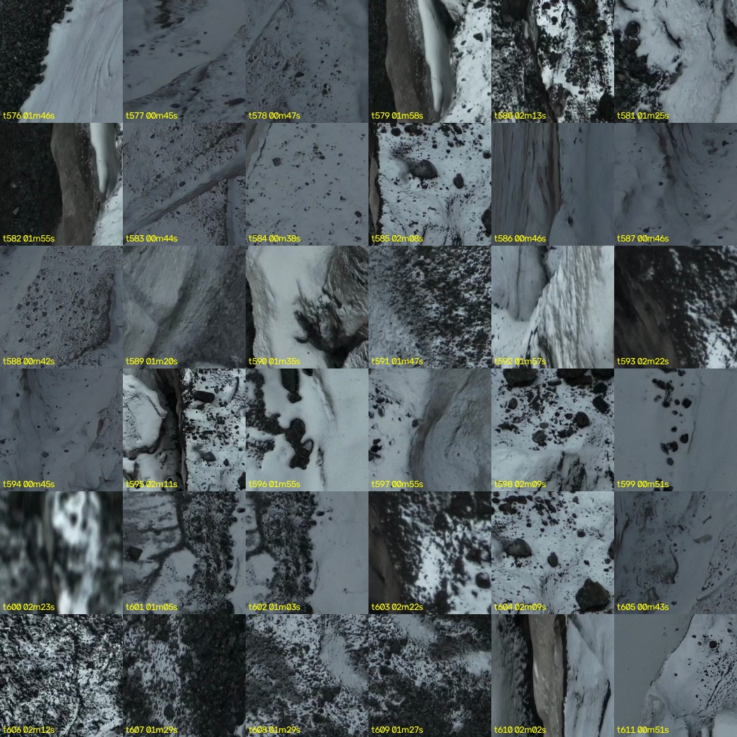 montage_16.jpg