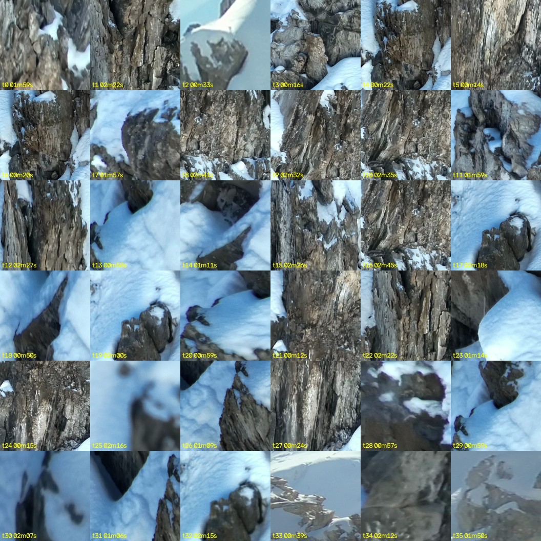 montage_00.jpg