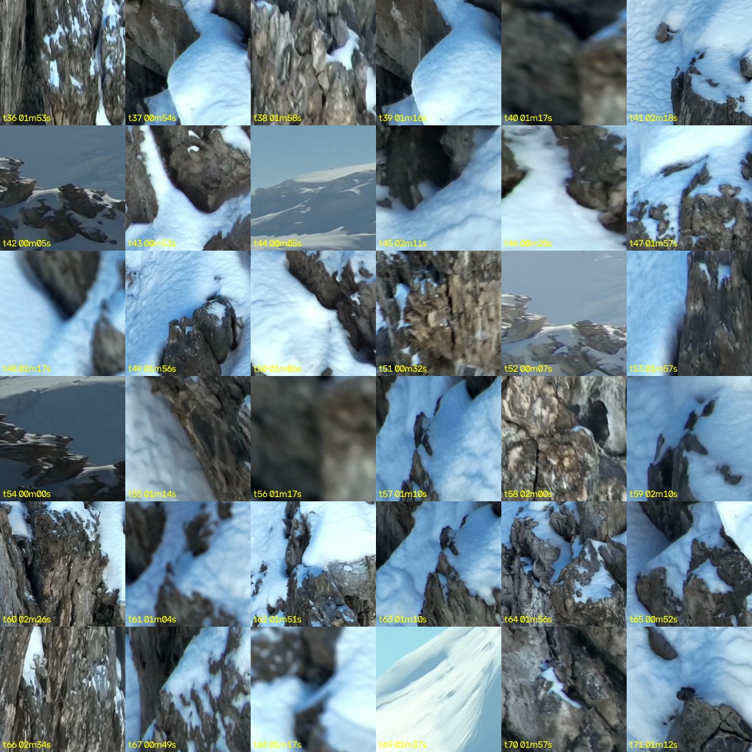 montage_01.jpg