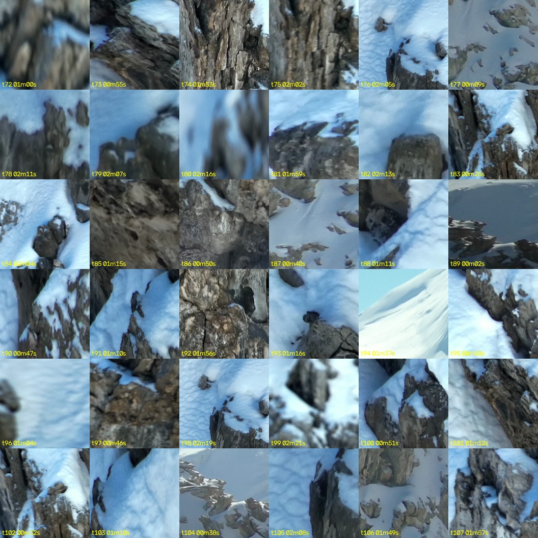 montage_02.jpg