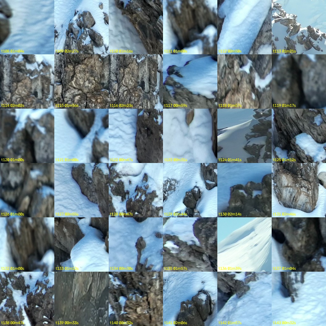 montage_03.jpg