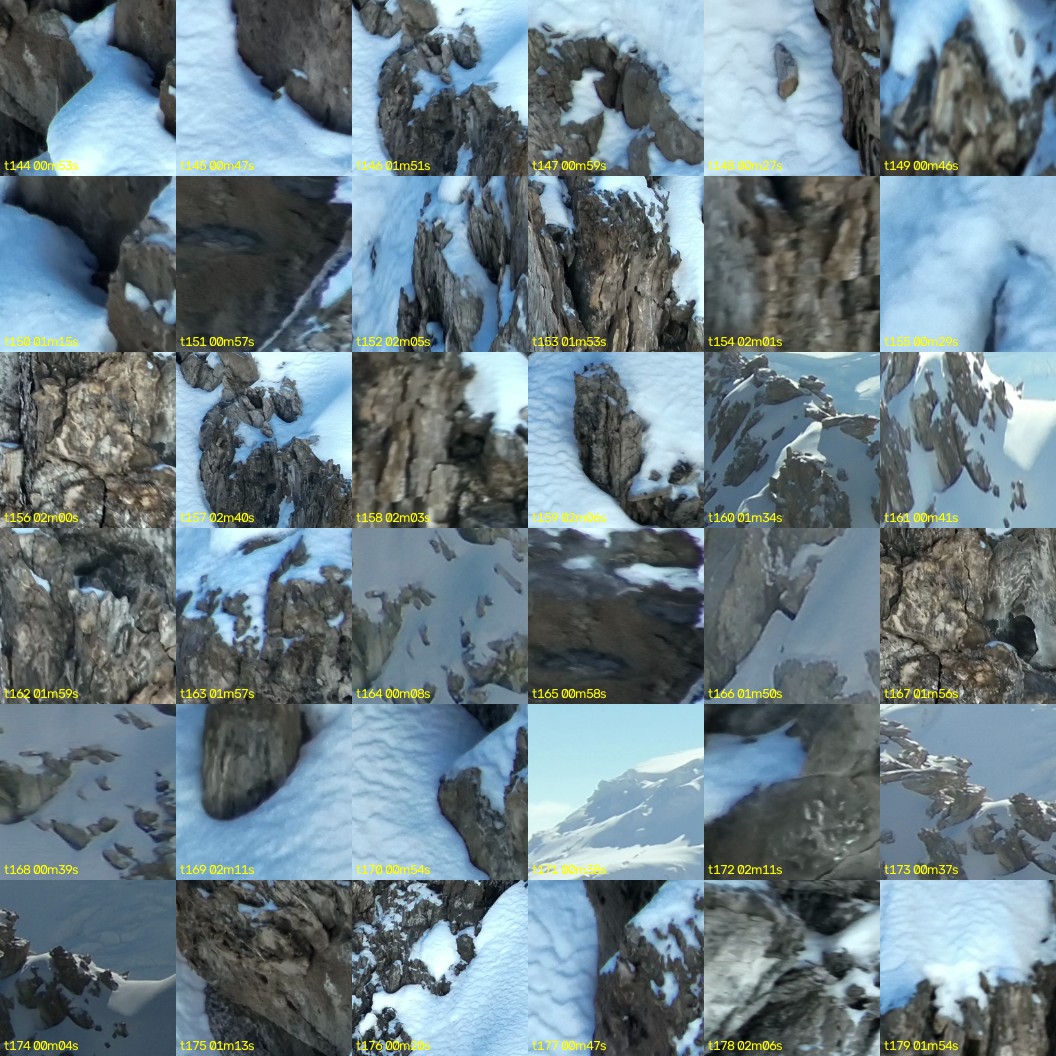 montage_04.jpg