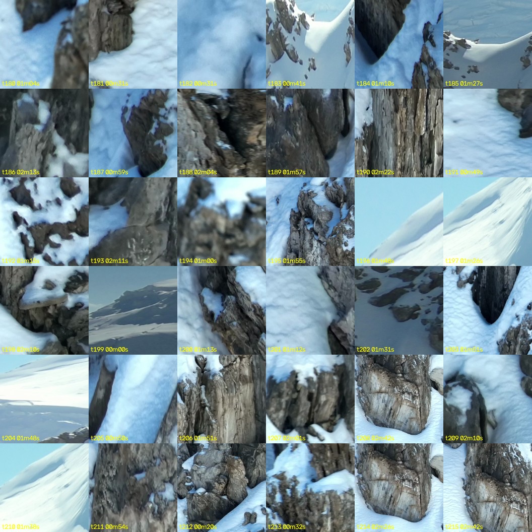 montage_05.jpg
