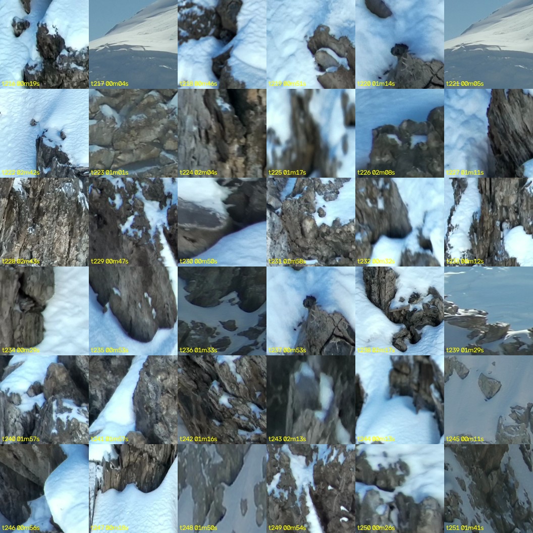 montage_06.jpg