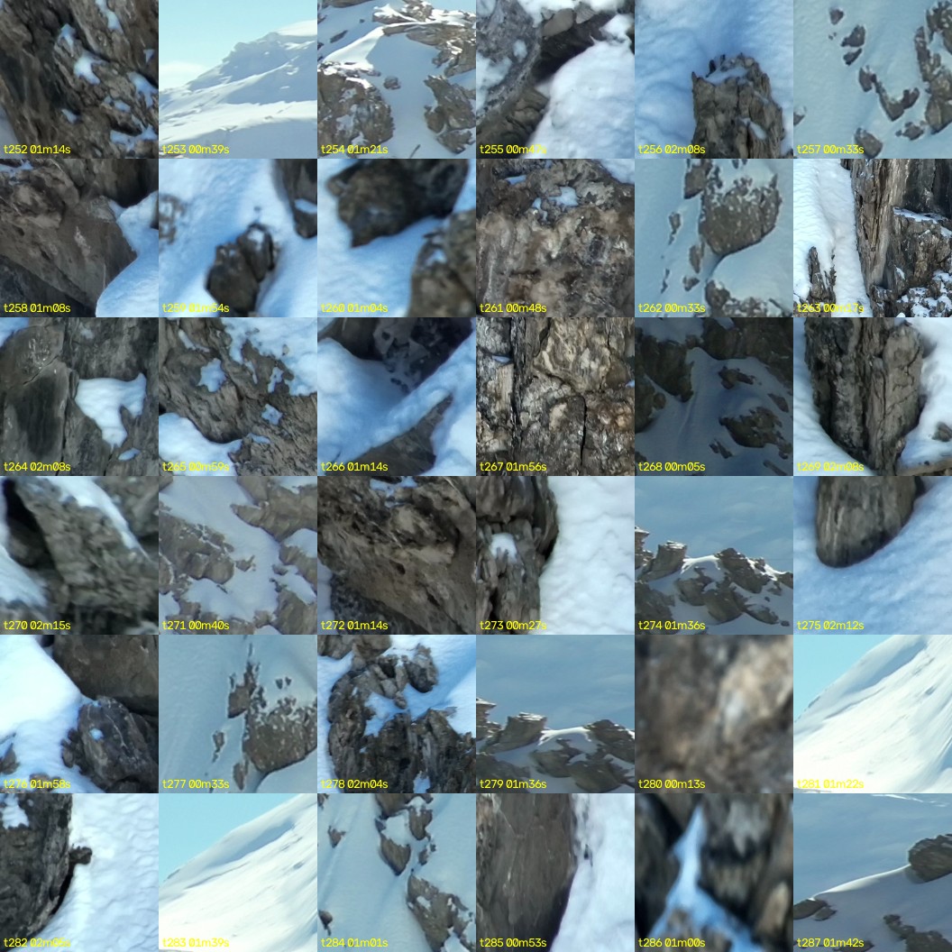 montage_07.jpg