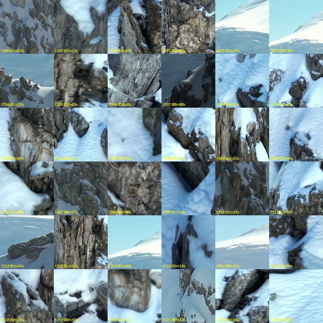 montage_08.jpg