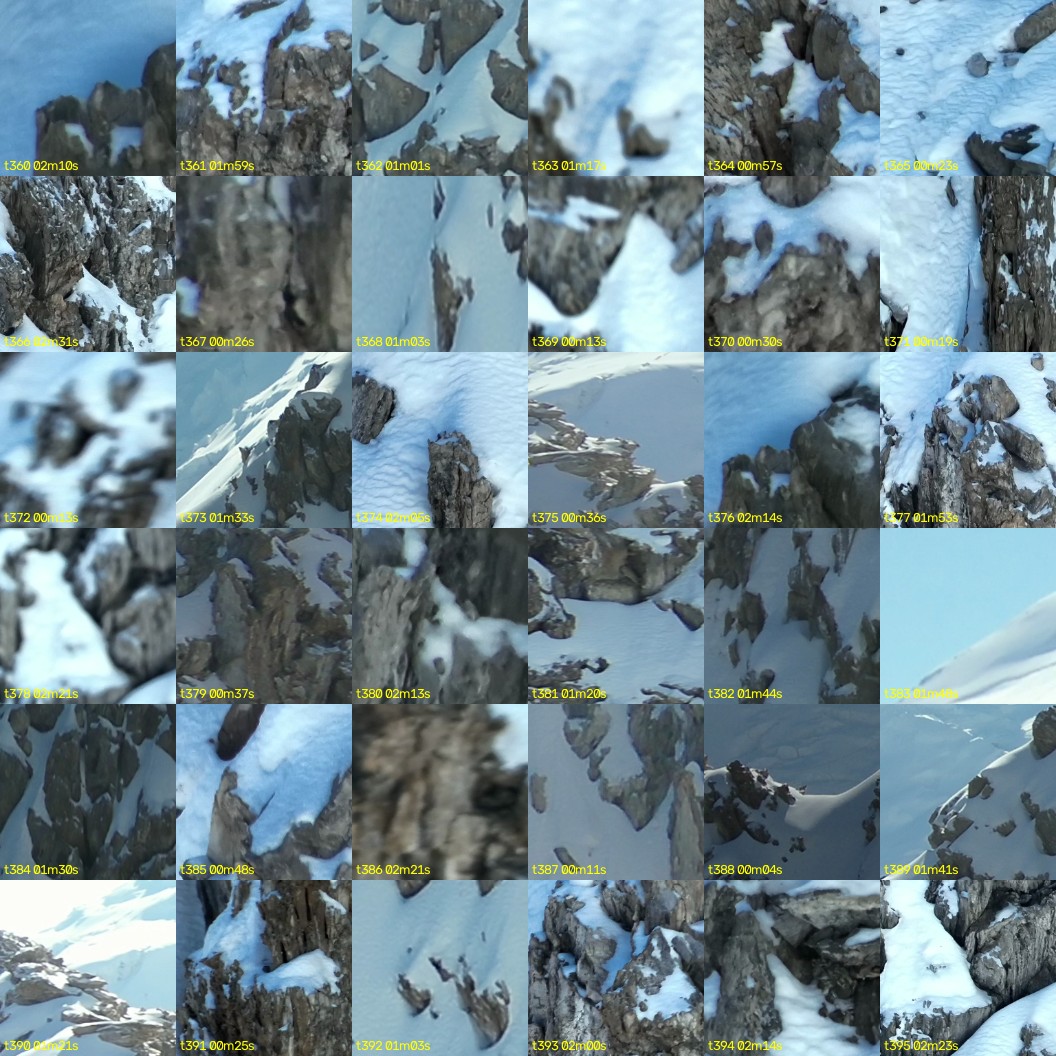 montage_10.jpg