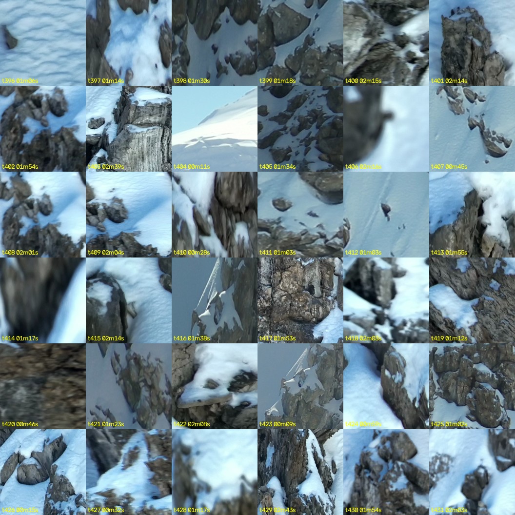 montage_11.jpg