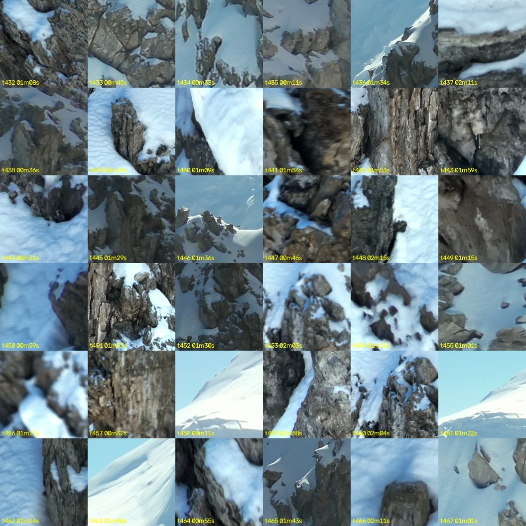 montage_12.jpg