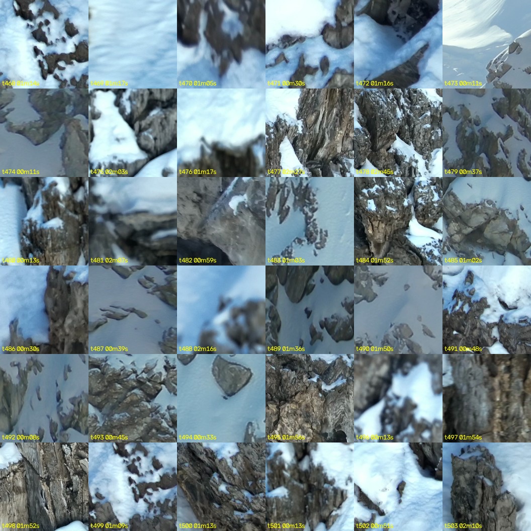 montage_13.jpg