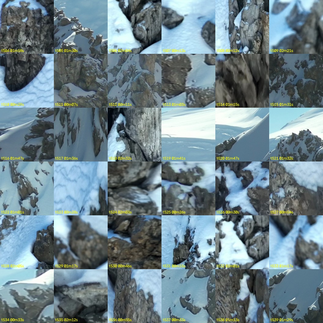 montage_14.jpg
