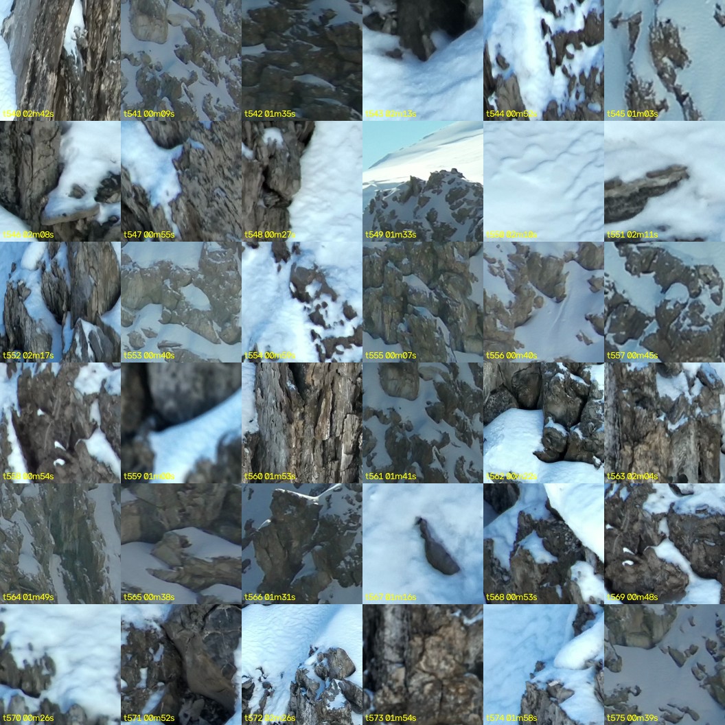 montage_15.jpg