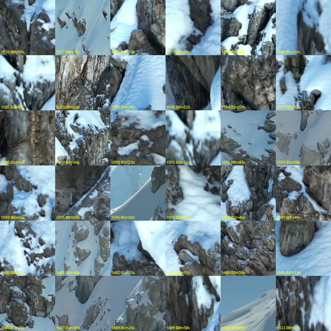 montage_16.jpg
