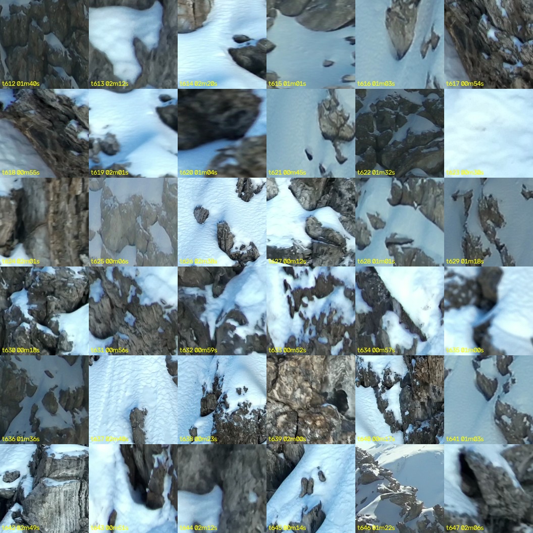montage_17.jpg