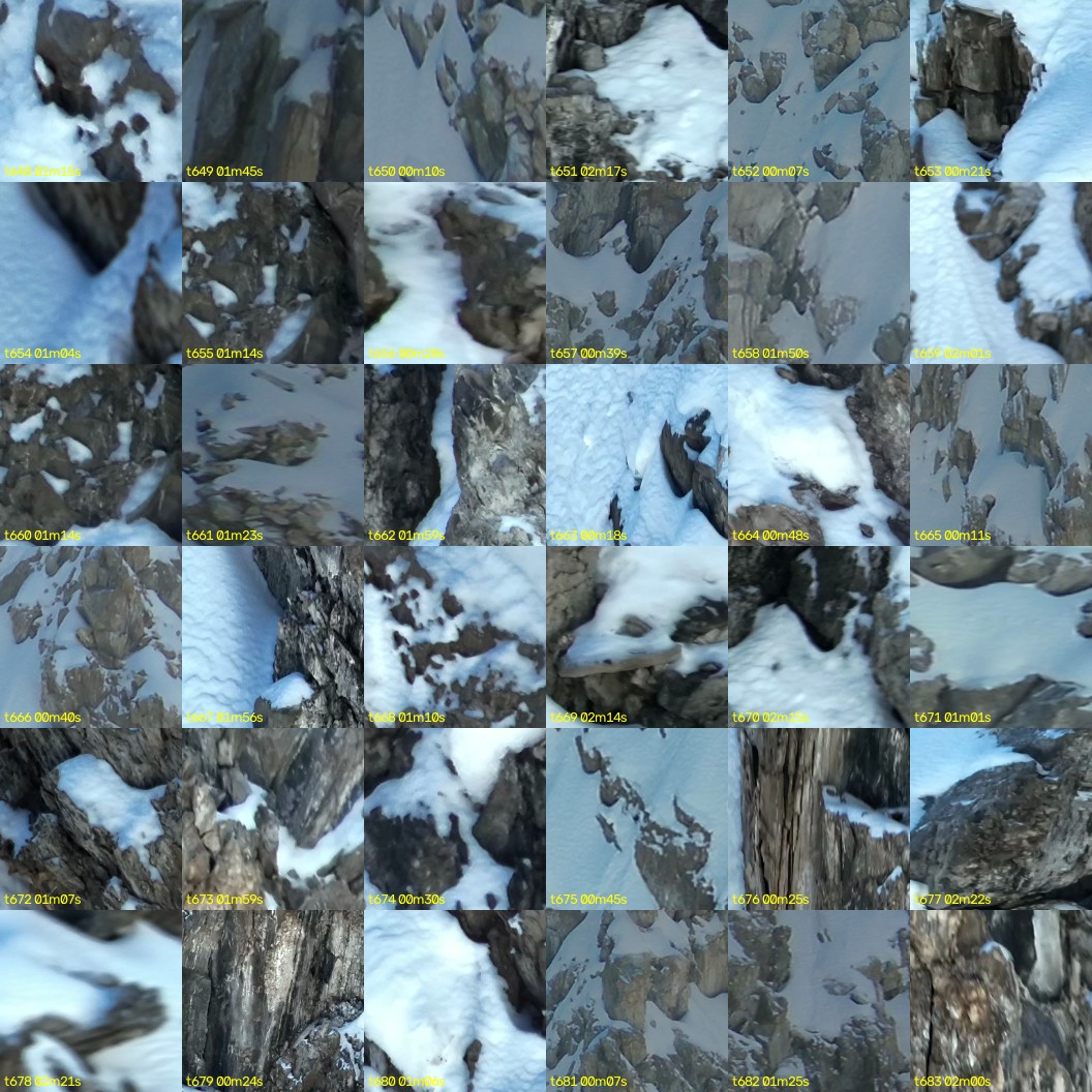 montage_18.jpg