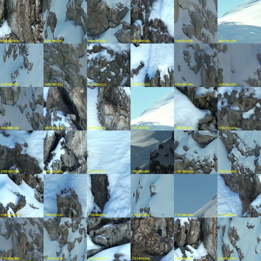 montage_19.jpg