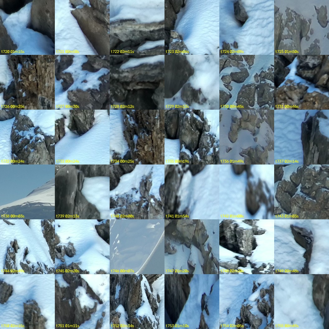 montage_20.jpg