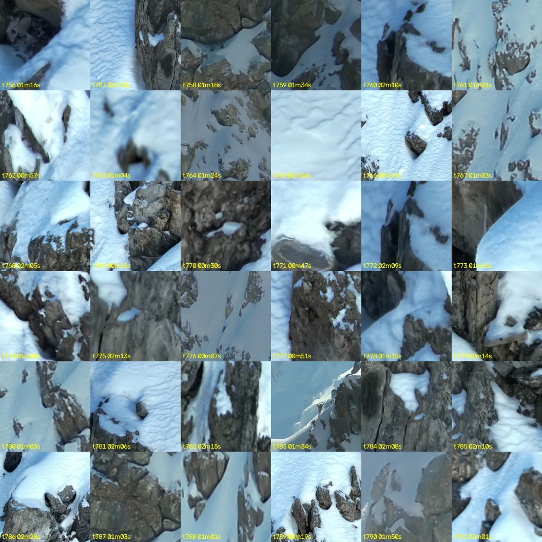 montage_21.jpg