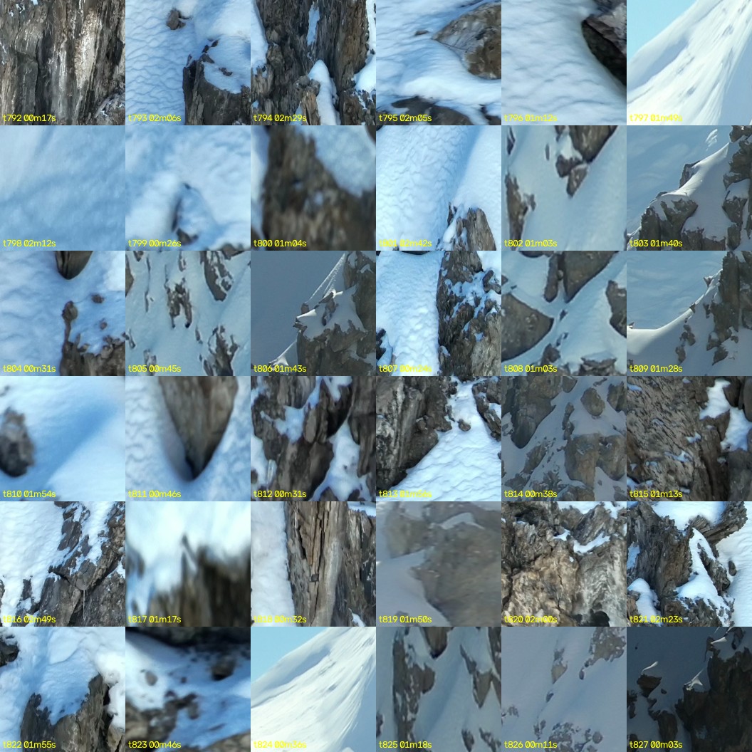 montage_22.jpg