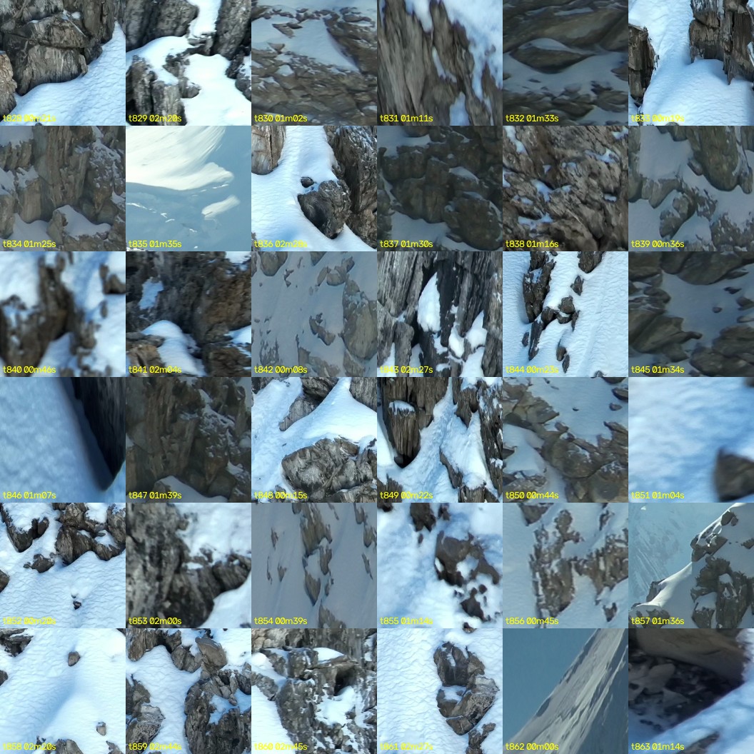 montage_23.jpg