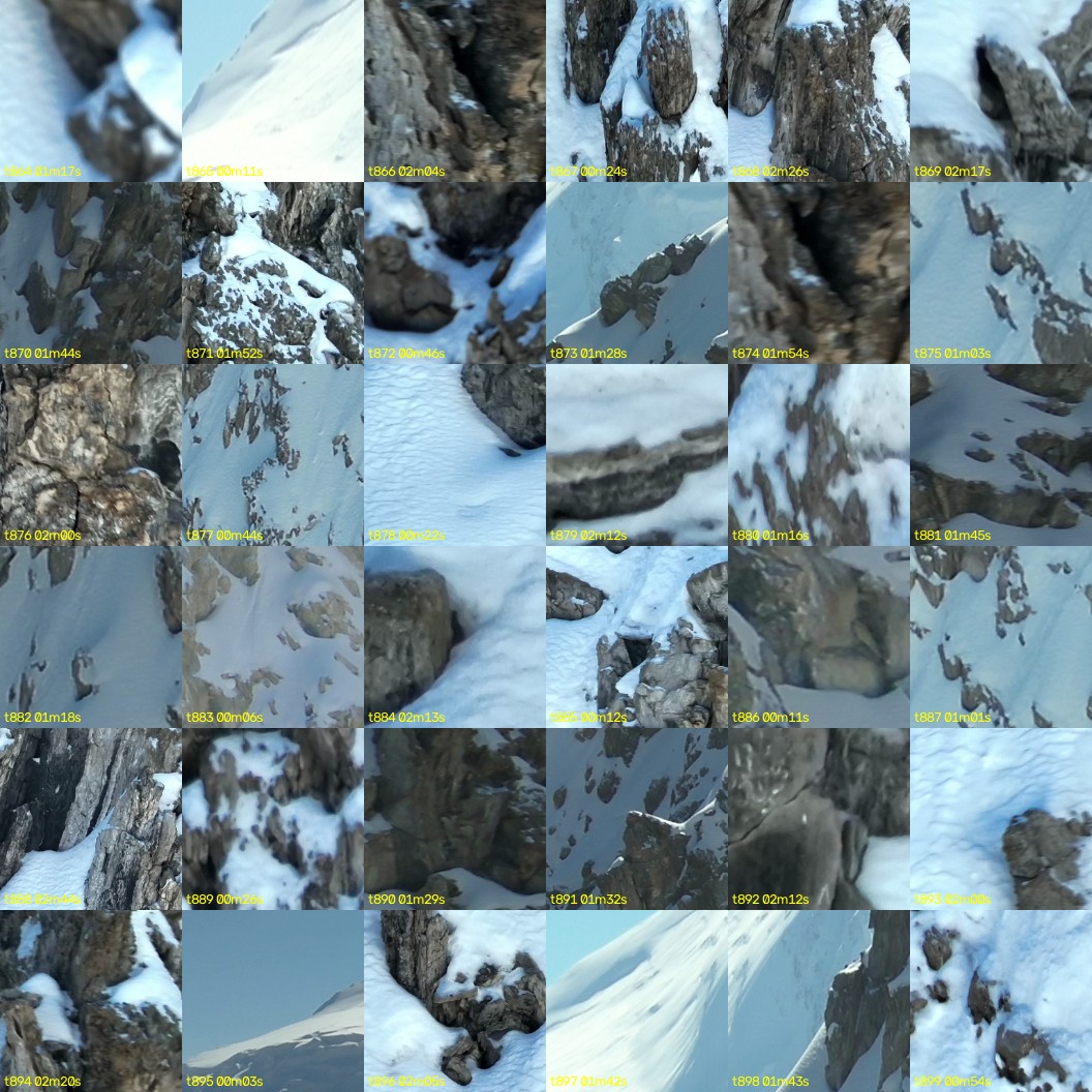 montage_24.jpg