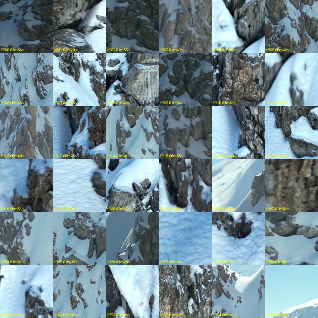 montage_25.jpg