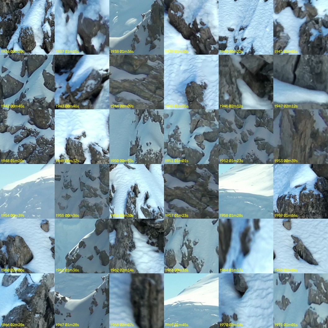 montage_26.jpg