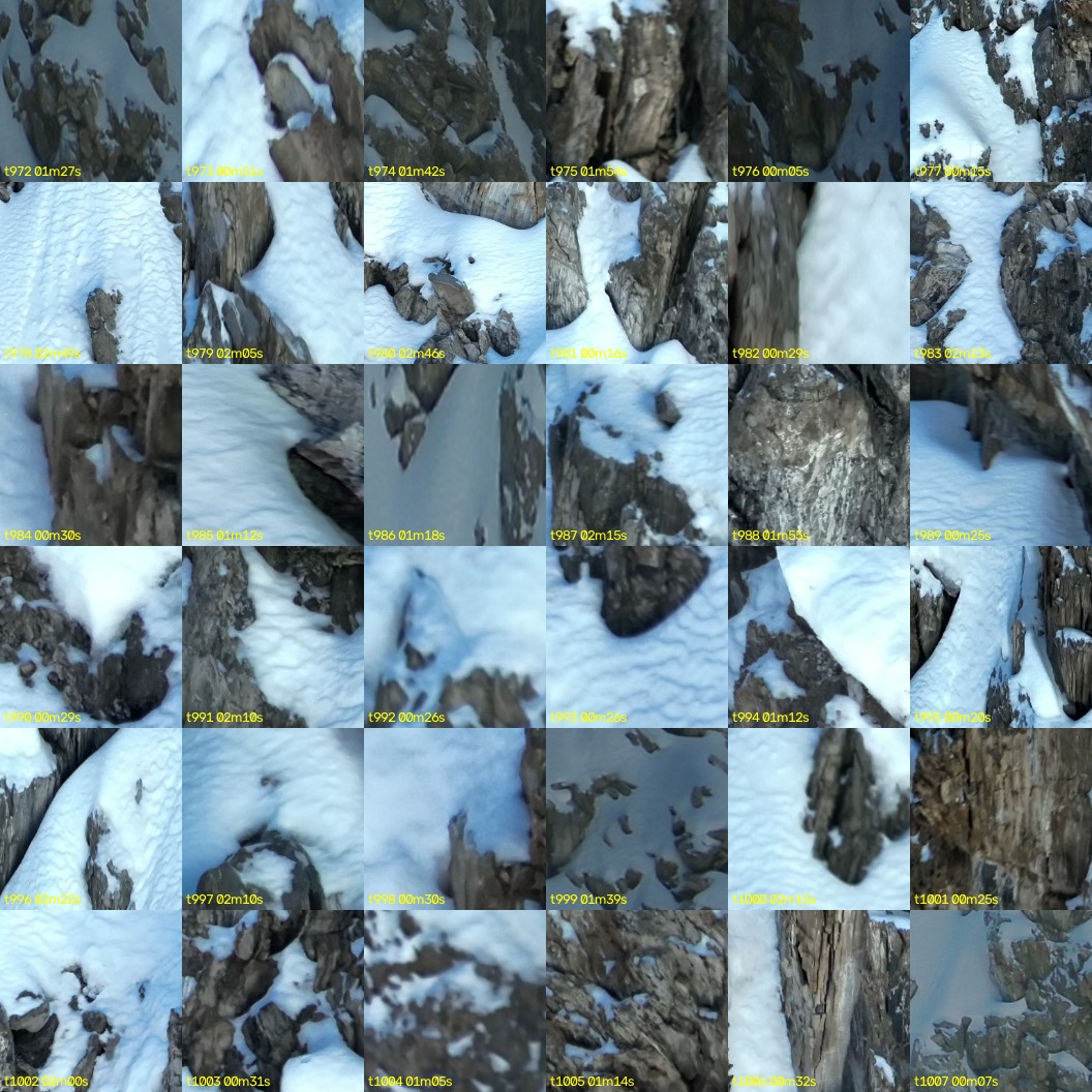 montage_27.jpg