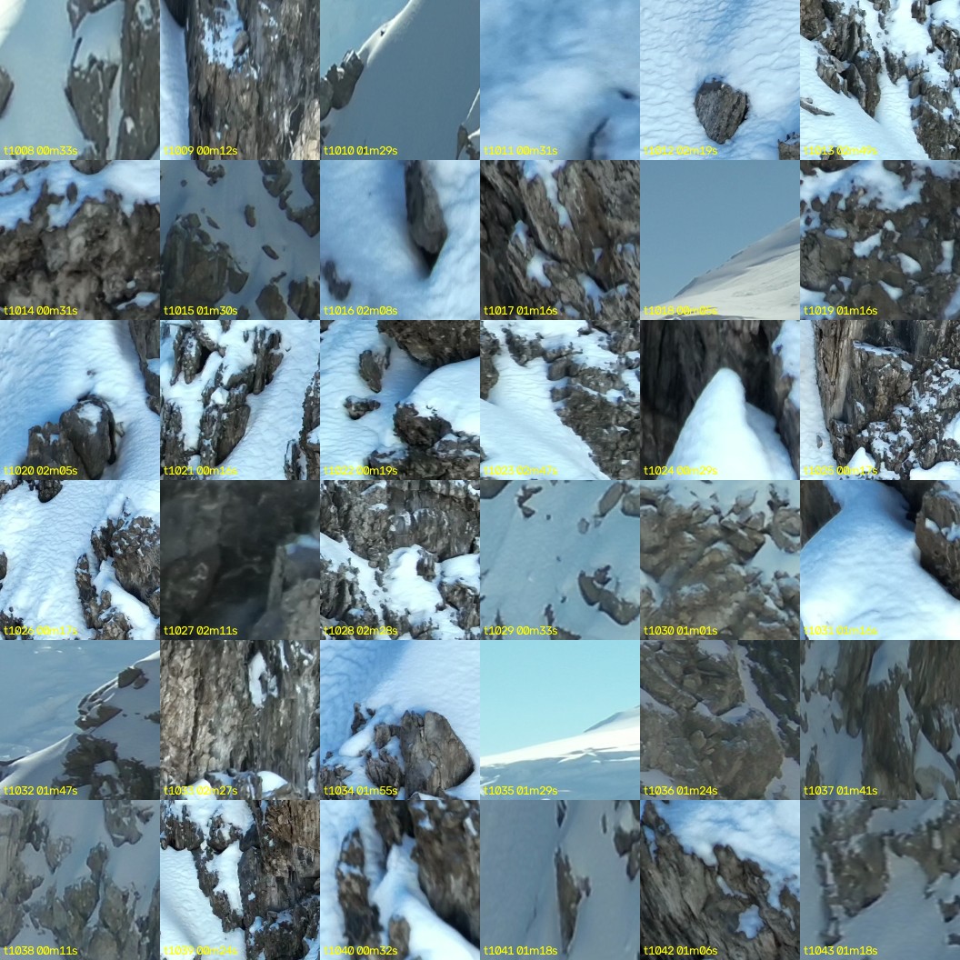 montage_28.jpg