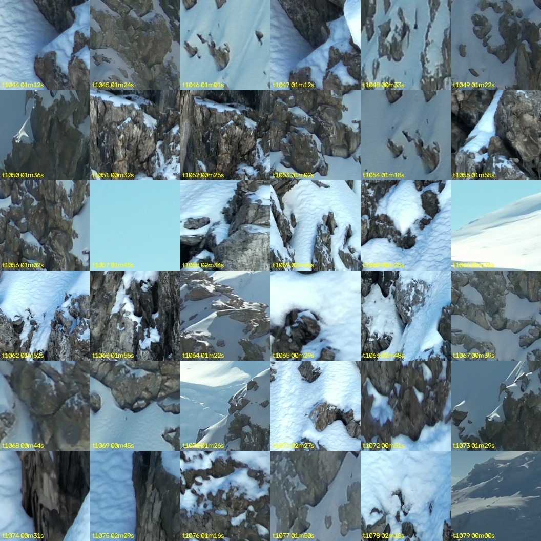 montage_29.jpg