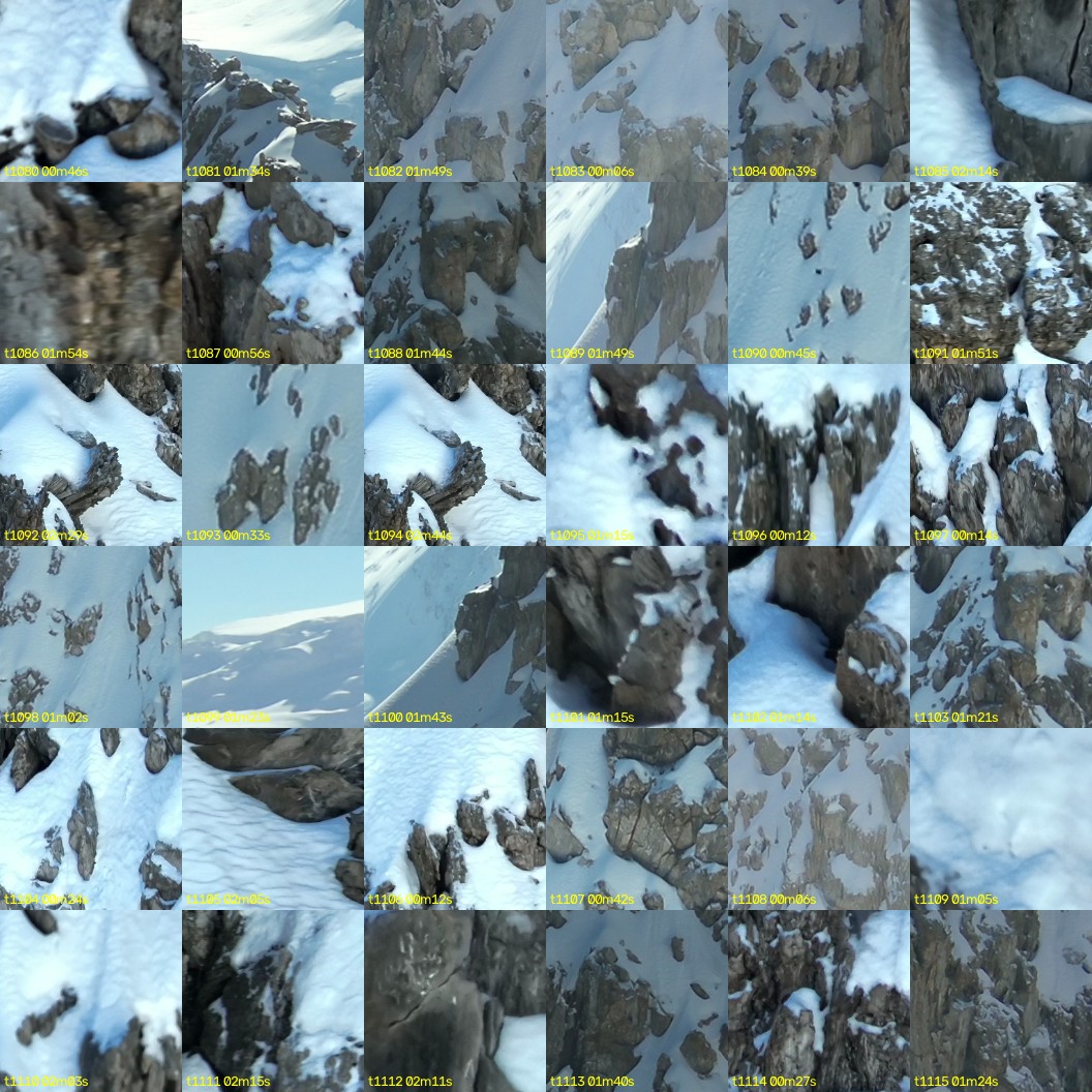 montage_30.jpg