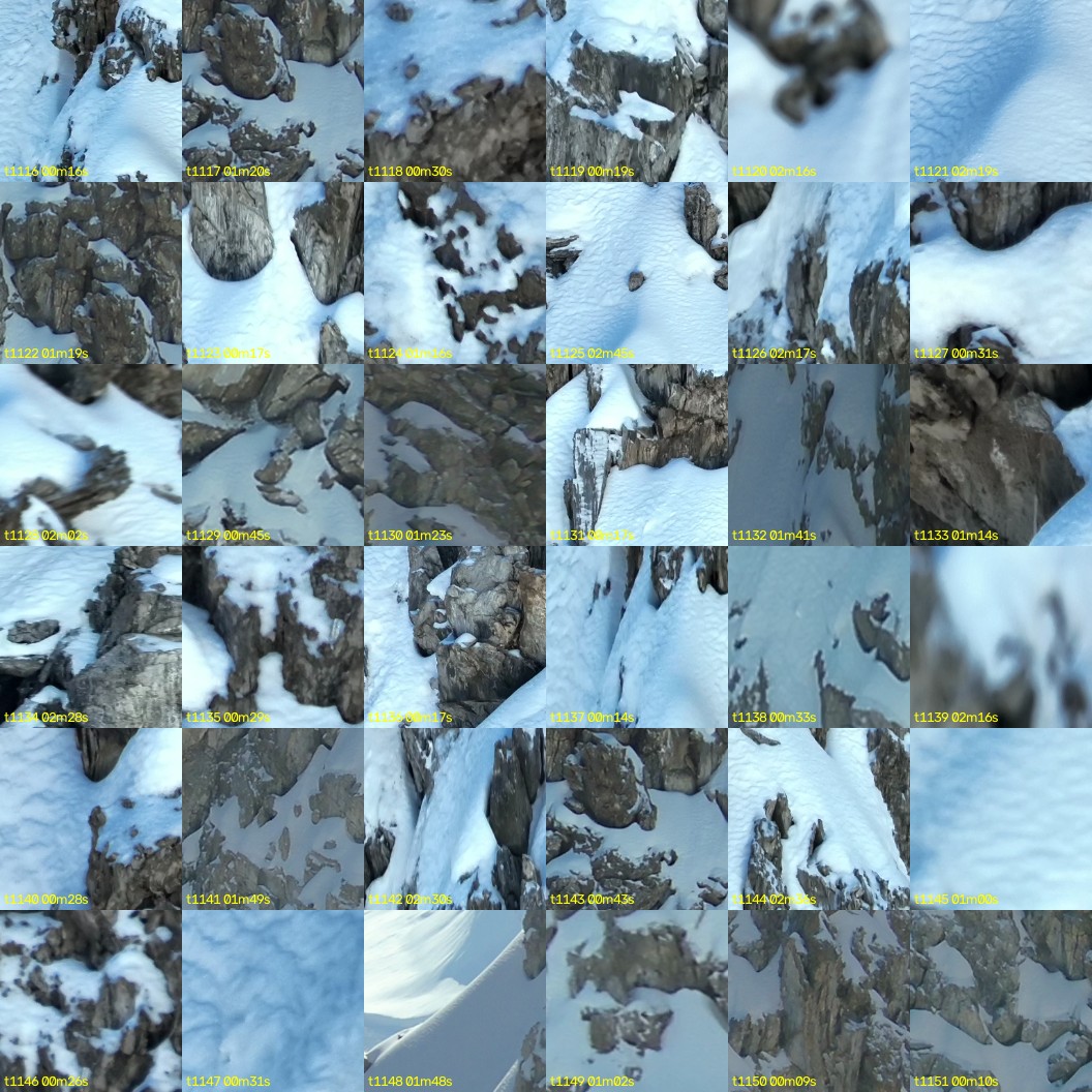 montage_31.jpg